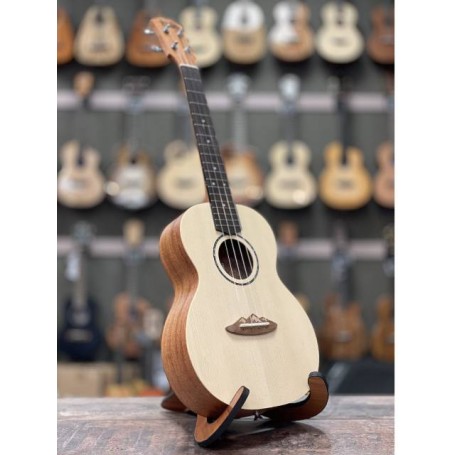 Todo Mont Fuji UTD-B20C Concert