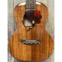 Todo Hula Girl UTD-W25T Ténor