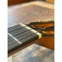 aNueNue Orange Cedar Koa Tenor Electro
