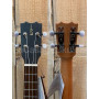 APC CS103 Concert