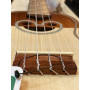 APC CS103 Concert
