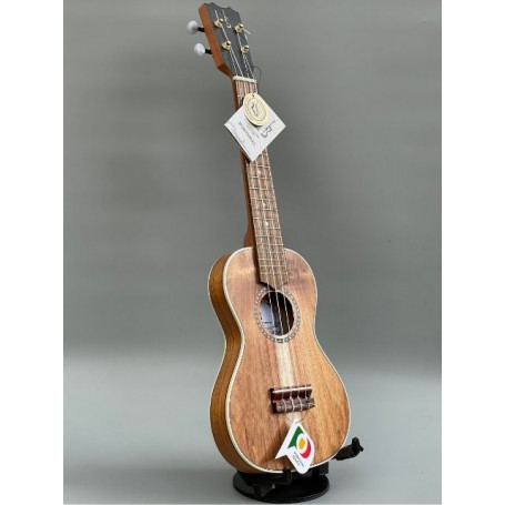 APC CC 1/2 Travel Concert