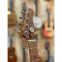 Flight Pathfinder Electric Tenor
