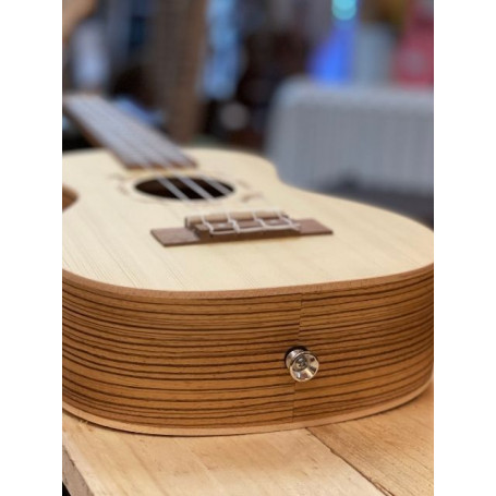 Installation 1 x Bouton attache-courroie "bas"