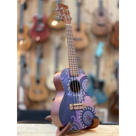 Flight AUC-33  Concert