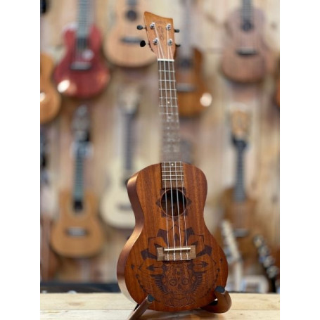 Gewa KT-CO Concert Mexico