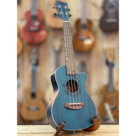 Flight DUC380 CEQ Concert électro-acoustique