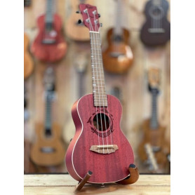 Flight DUC380 Concert - Coral