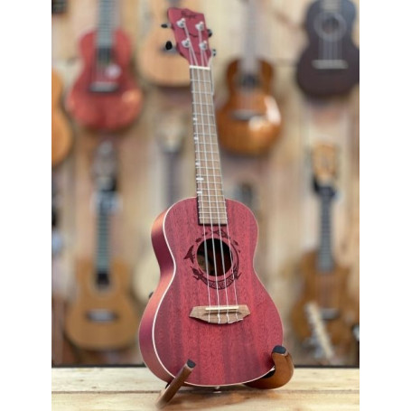 Flight DUC380 Concert