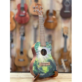 Flight AUC-33  Concert - Jungle