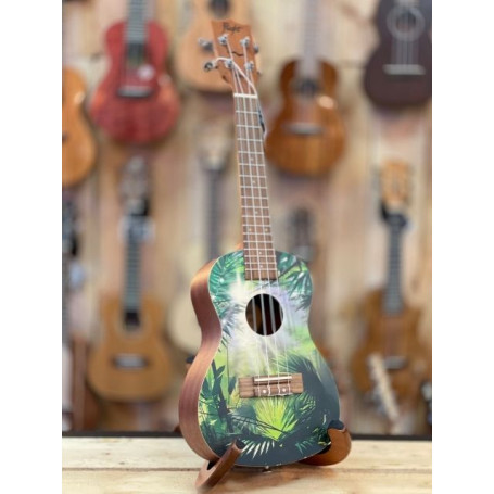 Flight AUC-33  Concert