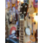 Flight Vanguard Electric Tenor