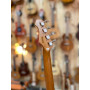 Flight Pathfinder Electric Tenor
