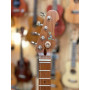 Flight Pathfinder Electric Tenor