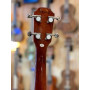 Flight Centurion Electric Tenor