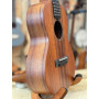 aNueNue C30 Concert Acajou Massif