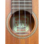 aNueNue C30 Concert Acajou Massif