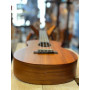 aNueNue C30 Concert Acajou Massif