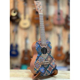 Flight AUC-33  Concert - Fusion