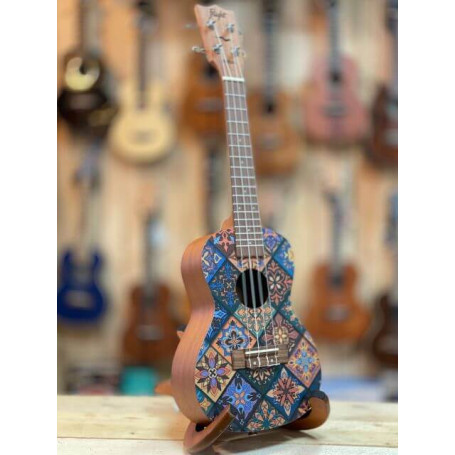 Flight AUC-33  Concert