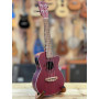 FLIGHT DUC380 CEQ  Concert w/EQ