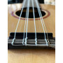 Kala ATP CTG-6 Solid Cedar Top 6-String Tenor