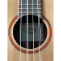 Kala ATP CTG-6 Solid Cedar Top 6-String Tenor