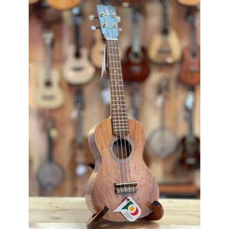 APC CT Concert Traditional