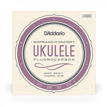 Cordes D'addario Fluorocarbon