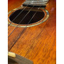 aNueNue Singer RT1K-IT Tenor
