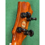 aNueNue Singer RT5R-LS Lemon Sunburst