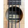 Kala U-Bass Spalted Maple