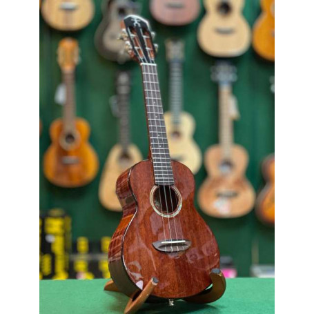 aNueNue AMM2E Concert Électro