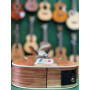 APC TC CW Tenor Classico w/Pick-up