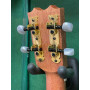 APC TC CW Tenor Classico w/Pick-up