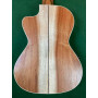APC TC CW Tenor Classico w/Pick-up