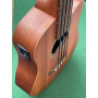 Gold Tone M-Bass 23" Fretless