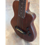 Gold Tone ME-BASS Fretless