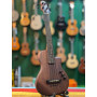 Gold Tone ME-BASS Fretless