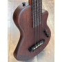 Gold Tone ME-BASS Fretless