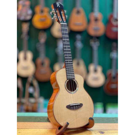 aNueNue UC100 Concert