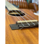 aNueNue C30E Concert Solid Mahogany Electro
