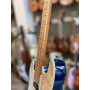 Flight Pathfinder Electric Tenor Gaucher