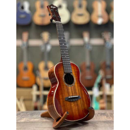 aNueNue Singer RC1K-IT Concert