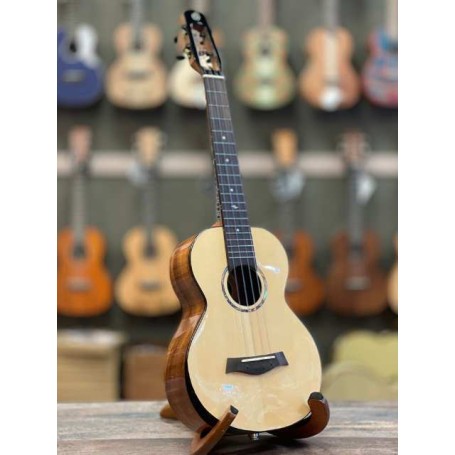 Flight Voyager Ténor EQ