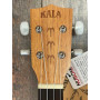 Kala Courage Concert