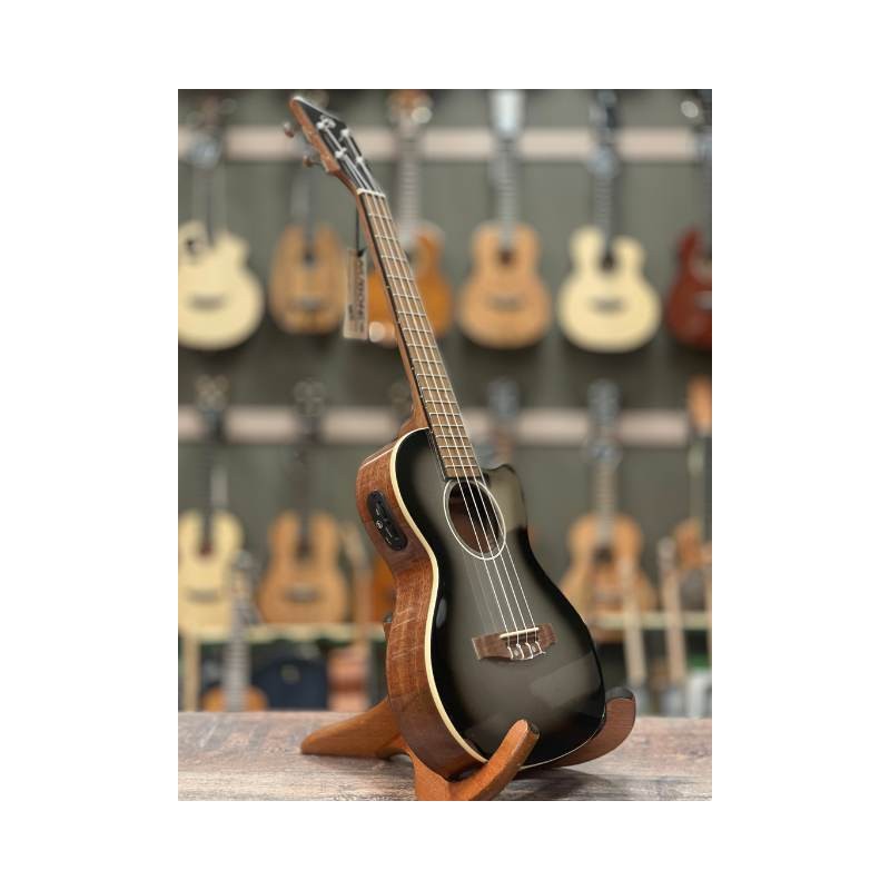 KALA KA-STGE-C Tenor ギグバッグ付き（Gewa R-TE-CE Silver Tenor）