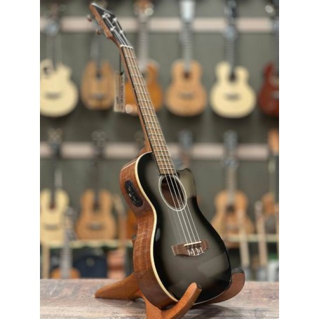 Gewa R-TE-CE Silver Tenor