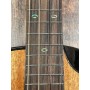 Flight Nomad Baritone