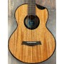Flight Nomad Baritone